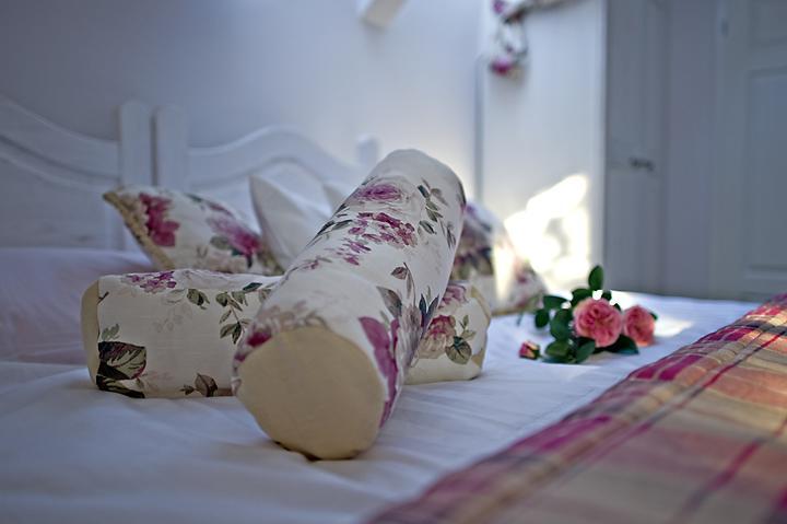 Modra Sikorka Villa Smardzewice Cameră foto